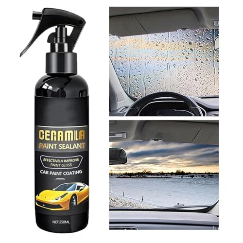 Autobeschichtungsspray | Unglaublicher Glanz und Schutz für Autos Farbe | 250 ml lang anhaltende polnische Sprays Fors Vehicle Exterior & Interieur-Auto, Motorrad, Wohnmobilanlage