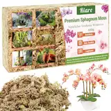 Riare 150g Sphagnum Moos Natürliche Terrarium Moos für Pflanzen Ausgezeichnete Belüftungsleistung für Orchid Topfpflanzen Home Blumenpflanzenanbau (150g)