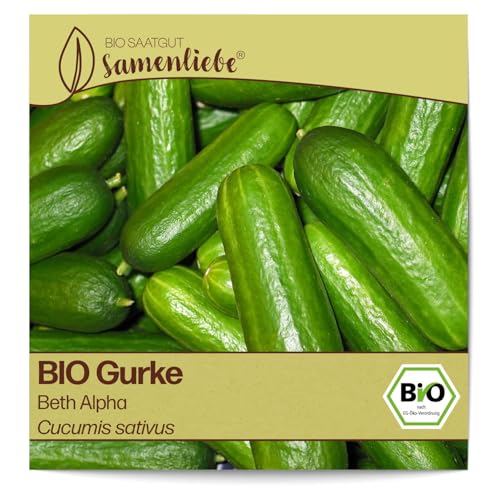 Samenliebe BIO Gurken Samen alte Sorte Beth Alpha Salatgurke Snackgurke grün 10 Samen samenfestes Gemüse Saatgut für Gewächshaus Freiland und Balkon BIO Gemüsesamen