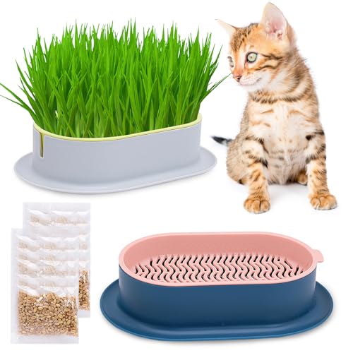 TULEBOLIAN 2pcs Keimschale Katze,Katzengras Schale,Hydrokultur Gras Tablett,Pflanzschale für Katzengras,Samen Keimung Tablett Seed Sprouter Tray,Seed Sprouter Tablett Sämlinge,für Katzengras