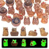 GlamRays 30 Stück Capybara Leuchtende Mini Capybara Resin Figurinen Leuchtende Capybara Mini Spielzeug Geschenke Schreibtisch Tabletop Outdoor Handwerk Dekoration