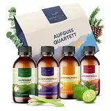 Warmwald - Saunaaufguss - Sauna Aufgussmittel mit natürlichen ätherischen Ölen - Saunaöl - Saunaduft (QUARTETT - 4 x 100ml)