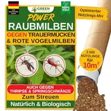 GREEN GUARDIA Power Hypoaspis miles Raubmilben gegen Trauermücken & Rote Vogelmilben – Streuware - Umweltfreundliches Mittel zur effektiven Schädlingsbekämpfung – (1x Pappröhrchen für 10m²)