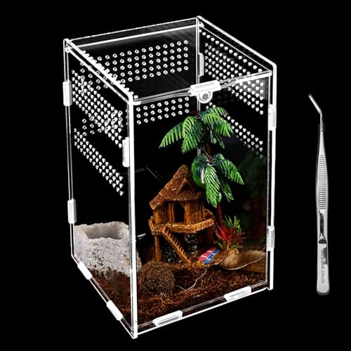 Reptilien Terrarium Box, Transparente Fütterungsbox Acryl, 20*12*12cm Reptil Fütterungsbox, Reptilien Aufzuchtbox mit Pinzette, Insekten Futterbox für Spinnen, Eidechsen, Käfer, Frosch, Schlangen etw.