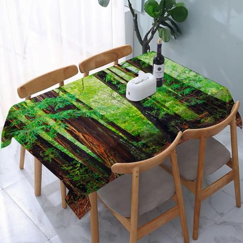 Garten Tischdecken Rechteckig,Bewaldeter Baum, Mammutbaum, nordwestlicher malerischer trop,Fleckschutz Wasserdicht Tischtuch für Draußen Esszimmer,Küche,Garten,Party,Hochzeiten oder Haushalt 137x183cm