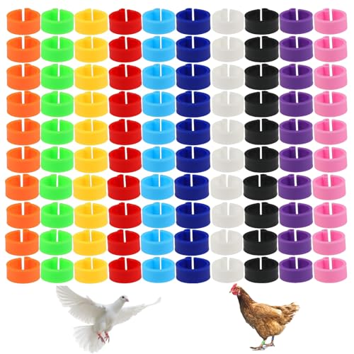 DHWEKU 10mm 100 Stück GeflüGel FußRinge mit bunter - 10 Farben,BrieftaubenfußRing KleingeflüGel Klemmringe HäHnchen Beinringe Taubenring,für Enten Küken Huhn Meertauben Gans Wildgeflügel Pute