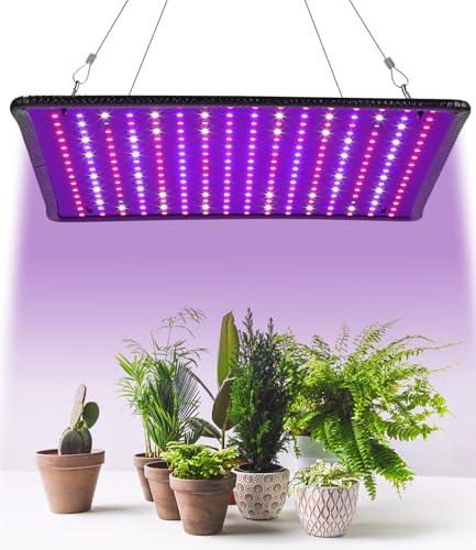Pflanzenlampe Led Vollspektrum,LED Grow Lampe Vollspektrum mit UV IR Pflanzenlampe mit 1.25 Meter Kabel für Zimmerpflanzen und Gewächshaus Gemüse und Blumenanbau für Growzelt 60x60cm