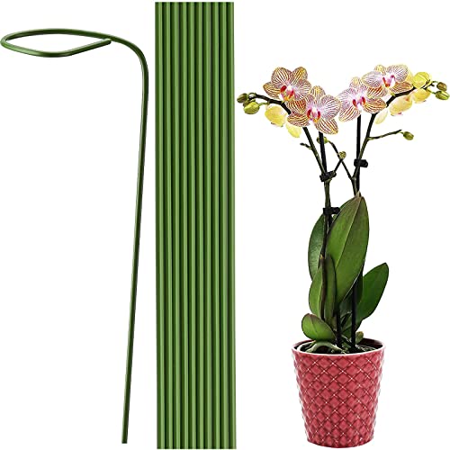 Pflanzenstäbe Pflanzen Stützen Blumen Stütze Pflanzenstützen Pflanzenhalter Rankhilfe Zimmerpflanzen Länge 40cm Ø5mm 20er Packung