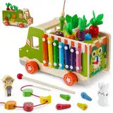 Goffii Montessori Spielzeug ab 3 4 5 Jahre, 10 in 1 Kinderspielzeug, Truck Holzspielzeug, Sortier Stapelspielzeug Fruit Vegetable Theme, Motorikspielzeug Geschenk für Mädchen Jungen Kinder Baby