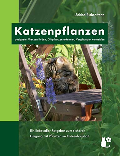 Katzenpflanzen: geeignete Pflanzen finden, Giftpflanzen erkennen, Vergiftungen vermeiden