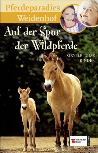 Pferdeparadies Weidenhof, Band 11: Auf der Spur der Wildpferde