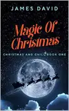 Magic Of Christmas (Christmas And Chill Book 1) (English Edition)