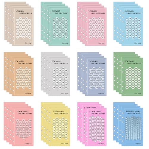 Budget Planner Zubehör (48er Set), A6 Sparchallenge Budgetplaner für Umschlagmethode Spar Challenge Set mit 1€ 2€ 5€ 10€ 15€ 20€ 25€ 30€ Kleingeld 30TAGE 100 TAGE 26 WOCHEN 52 WOCHEN