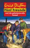 Fünf Freunde, Neubearb., Bd.25, Fünf Freunde und die geheimnisvolle Formel (Einzelbände, Band 25)