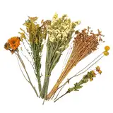 Blumenhamster-Einstreu – getrocknet, natürliche Leckereien, Getreide, Blumen, Ohren, -Sprays, Set für Rennmäuse, Blumen, Hamster, Einstreu (zufälliger Stil)