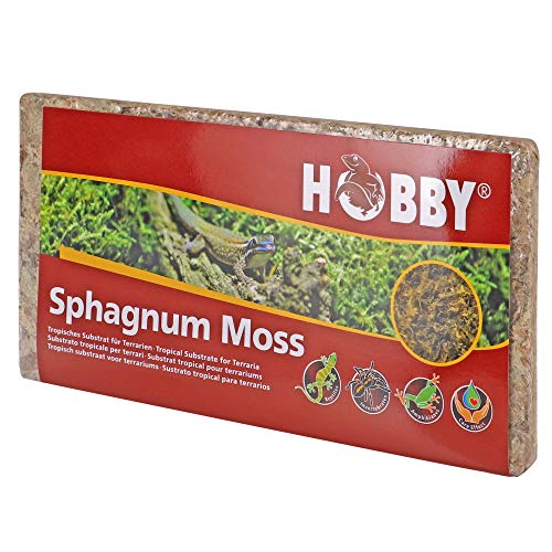 Dohse Aquaristik Hobby 34170 Spaghnum Moss, tropisches Substrat für Terrarien