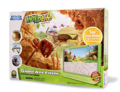 Uncle Milton 00056 Riesige Ameisenfarm Giant Ant Farm, Grün, Original Version