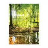 Poster Wald Natur Grün Landschaft 50x70 cm Hochformat - OHNE RAHMEN XXL Wandposter Kunstdruck Fotoposter Wandbild Wandbilder Wand Bild auf Poster Wohnzimmer Schlafzimmer Küche
