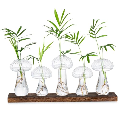 Glasseam Pilz Vase Glas Klar, Blumen Vasen Deko 5er Set, Mini Vasen für Tischdeko, Pilzförmige Glasvasen Kleine Vase mit Holz, Schöne Blumenvasen Propagation Station für Home Wohnzimmer Geburtstag