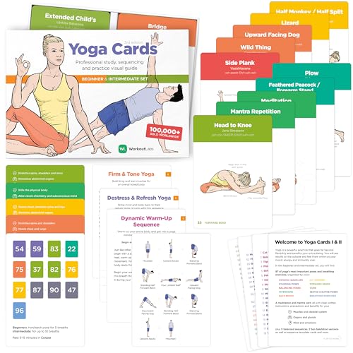 WorkoutLabs Plastik-Yoga-Karten mit Sanskrit-Sprache zum visuellen Lernen, zum Sequenzieren von Unterricht, zum Üben mit Haltungen, Atemübungen und Meditation (komplettes Spiel) (Englisch)