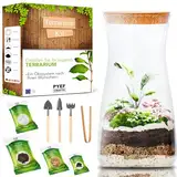 Flaschengarten Komplettset zum Schaffen EIN Ökosystem im Glas - Terrarium Starter Kit zum Anlegen EIN Biotop im Glas - Terrarium mit Garten Werkzeug, Moos, Erde, Steinen (Kit mit Flasche)