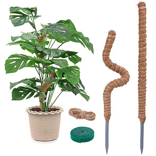 2 Pack Moosstab für Monstera - 60cm Biegsame Pflanzenstütze für Indoor, Rankhilfe Monstera, handgemachte Coco Coir Pole Pflanze Unterstützung für Creeper Pflanzen wachsen nach oben