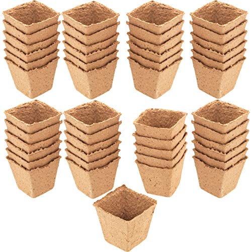 Meister Anzuchttöpfe 8 x 8 cm - Praktisches Set mit 48 Stück - 100% torffrei aus PEFC-zertifizierter Zellulose - Biologisch abbaubar / Pflanztopf / Saattopf / Pflanzenanzucht / 9968280