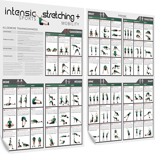 intensic SPORTS Stretching + Mobility Poster | 60 Fitness-Übungen zum Dehnen und Mobilisieren I Mehr Beweglichkeit ohne Gerät für Fitnessraum zuhause Bodyweight Home-workout Trainingsplan Sport-poster