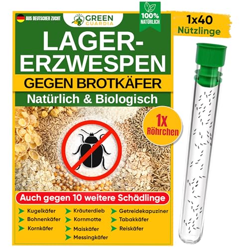 GREEN GUARDIA Lagererzwespen gegen Brotkäfer - 1 Röhrchen à 40 Nützlinge - effektiv Kornkäfer, Messingkäfer, Speckkäfer uvm. bekämpfen. Alternative zu Brotkäfer Falle und Kornkäfer Falle