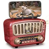 PRUNUS J-180 AM/FM/SW Retro Radio mit Bluetooth 5.0, Nostalgie Radio Klein mit 1800mAh Akku, Unterstützt USB/TF/AUX Funktion, mit großem 5-W-Lautsprecher, Kofferradio Küchenradio für Büro Zuhause.