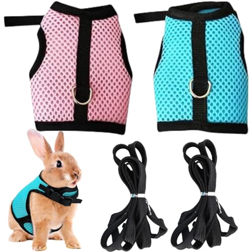 IATAHI Kaninchen Leine,Kaninchen Geschirr mit Leine,Verstellbare Katzengeschirr Kaninchen,Zwergkaninchen Katzen Geschirr,Geschirr Hasenleine,Mesh Kaninchen Geschirr,Haustier Hasen Geschirr