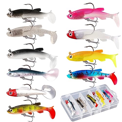 XIAQICA 10 Stück Angelköder Set mit 1 transparenten Kunststoffbox Crankbait Jigköpfe Raubfisch Köder Gummifisch Hecht Wobbler für Barsch Weiches Mandarinenfisch Pferdemaul Tilapia