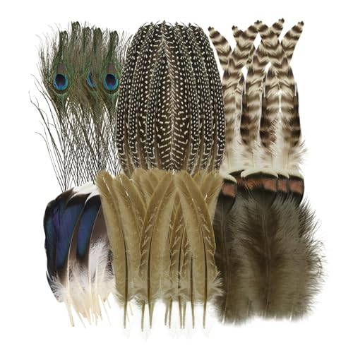 48 Stück Bastelfedern-Dekorationen, natürliche Federn zum Basteln in verschiedenen Farben, Pfau Deko in großen Mengen, Truthahnhut-Deko Federn, Fasanenfedern zum Basteln DIY-Schmuck, Hochzeitsfeier
