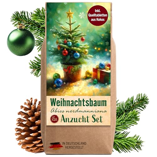 Little Plants Weihnachtsbaum Anzuchtset - Weihnachtsbaum 2030 I als Adventskalender Füllung, Wichtelgeschenk I Weihnachtsbaum in der Dose I Adventskalender befüllen Inhalt I Tannenbaum Geschenk Set 5