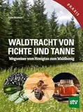 Waldtracht von Fichte und Tanne: Wegweiser vom Honigtau zum Waldhonig