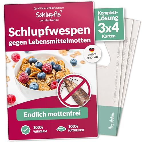 Hey Nature® Schlupfwespen gegen Lebensmittelmotten, 12 Karten (4 Karten à 3 Lieferungen). Effektiv Lebensmittelmotten bekämpfen mit Schlupfwespen gegen Motten. Alternativ zu Mottenkugeln & Mottenspray