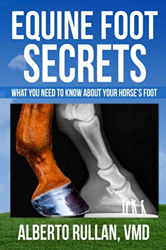 Equine Foot Secrets: What you need to know about your horse’s foot