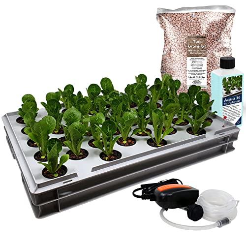 GREEN24 Aqua 36-C Pro Hydroponic Anzucht-System XL 40 x 60 cm Hydroponik Indoor Pflanzen-Aufzucht für Nutzpflanzen, Gemüse, Kräuter, Salate, Zierpflanzen in Tiefwasserkultur (Modell Aqua 36-C)