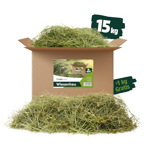 napfpower 15 kg + 1 kg GRATIS Heu direkt vom Hof | 1. Schnitt Wiesenheu aus Bayern | hochwertiges & unbehandeltes Heu für Futter & Einstreu von Kaninchen, Hamster, Meerschweinchen & Hasen