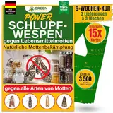 GREEN GUARDIA Schlupfwespen gegen Lebensmittelmotten - 5 Karten à 3 Lieferungen - Effektiv & unweltfreundlich Lebensmittel Motten bekämpfen - Alternative zur Mottenfalle, Mottenspray, Pheromonfalle