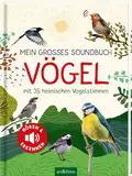 Mein großes Soundbuch Vögel: Mit 35 heimischen Vogelstimmen | Hochwertiges Soundbuch für Kinder ab 5 Jahren