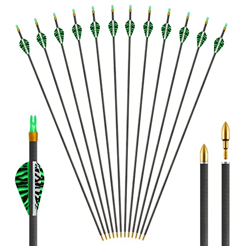 REAWOW 12 Pack Carbon Arrows, Hunting and Target Practice Arrows for Compound & Recurve Bow, Spine 350 with Removable Tips