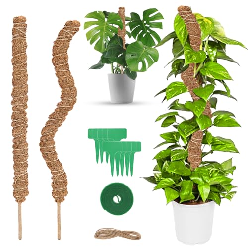 talifoca Monstera Rankhilfe, 2 Stück 60cm Biegsame Moosstäbe für Pflanzen, Pflanzstab Kokos Moosstab, Monstera Stab mit Zubehör, Moosstab-Set für Kletterpflanzen Pflanzenstütze