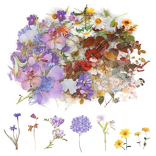 120 Stück Blumen Aufkleber Set Wasserfeste Aufkleber für Scrapbooking Transparente Pflanzenaufkleber Vintage Blumenaufkleber Bunte Sticker Blumen für DIY Tagebücher Karten Fotoalben