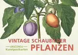 Postkarten-Set Vintage-Schaubilder Pflanzen: 18 Kunstpostkarten aus hochwertigem Karton. ca. 0,28€ pro Karte (Anaconda Postkarten, Band 88)