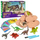 Dinosaurier Egg Toy für Kinder,Ausgraben Dino Ei Spielzeug,Includes 12 Dinosaurs Eggs and Discover 12 Cute Dinosaurs,Ausgrabungsset Archäologie,Spielzeug,Geschenke für 6 7 8 9 10-12 Jungen und Mädchen