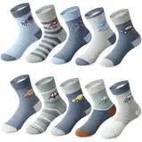 Domee Jungen Socken Kindersocken Strümpfe Baumwolle 10er-Pack Kaninchen 27-30 (Herstellergröße L)