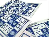 Genérico 600 traditionelle Bingo-Karten mit 90 Kugeln (blau)