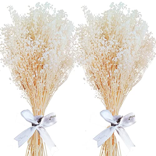 Getrocknete Schleierkraut im Großhandel - 3000+ Stück, 2 Bund echte Gypsophila, 17", natürlich getrocknet, ideal für DIY-Vase, Blumenhochzeit, Heim und Party Dekoration