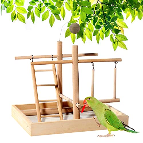 CHSEEO Nymphensittich Spielplatz Holz Barsch, mit Feeder Cups, Papagei Spielzeug Schwingen, Training Aktivitäten für Wellensittich Sittich, Parrot Intelligence Spielzeug #8